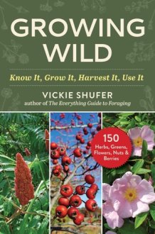 The Forager's Garden Cultivating Wild Plants for Food & Medicine cover image