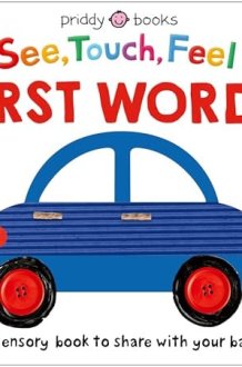 See Touch Feel: First Words A Sensory Book for Babies and Toddlers cover image