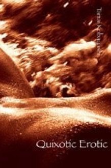Quixotic Erotic cover image