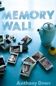Memory Wall cover image