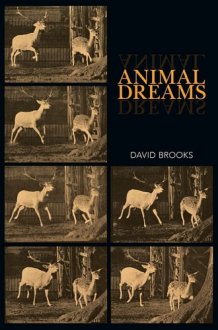 Animal Dreams cover image