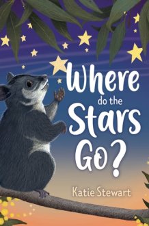 Where Do the Stars Go? cover image