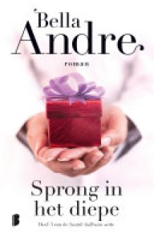 Sprong in het diepe cover image