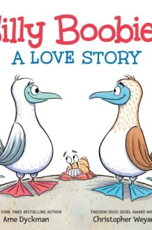 Silly Boobies A Love Story cover image