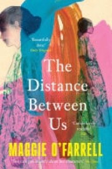 The Distance Between Us The Sunday Times Bestseller from the Author of Hamnet cover image