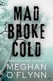 Mad Broke Cold: An Unpredictable Psychological Thriller cover image