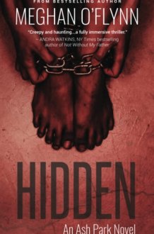 Hidden A Gritty Hardboiled Serial Killer Thriller cover image