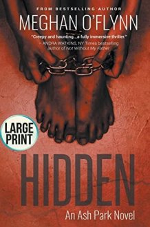 Hidden Large Print cover image