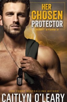 Her Chosen Protector Navy SEAL Romance cover image