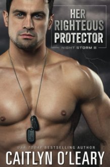Her Righteous Protector Navy SEAL Romance cover image