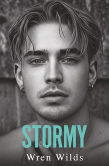 Stormy: An MM Romance cover image