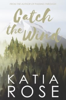 Catch the Wind (Balsam Inn) cover image