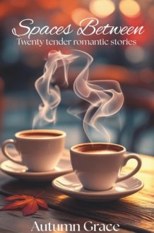 Spaces Betweenn: Twenty Tender Romance Stories cover image