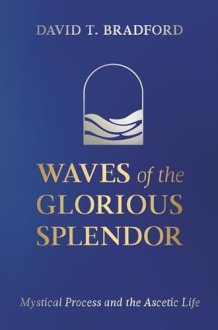 Waves of the Glorious Splendor: Mystical Process and the Ascetic Life cover image
