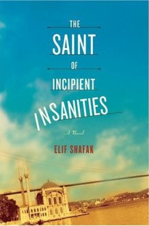 The Saint of Incipient Insanities cover image