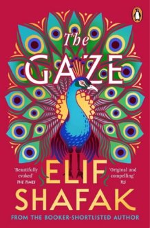 The Gaze The daringly funny historical novel from the bestselling author of There Are Rivers in the Sky cover image