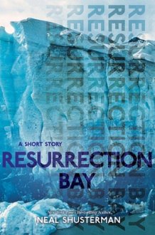 Resurrection Bay cover image