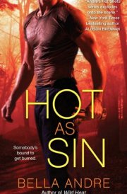 Hot as Sin A Novel
