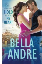 Hold on to My Heart (Maine Sullivans)