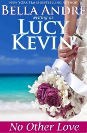 No Other Love (A Walker Island Romance, Book 2) (Contemporary Romance)