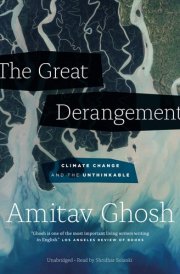 The Great Derangement: Climate Change and the Unthinkable