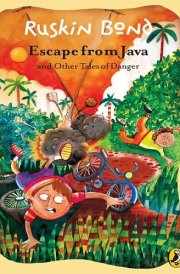 Escape from Java and other Tales of Danger