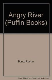 Angry River
