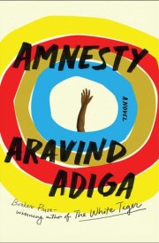 Amnesty A Novel
