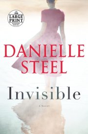 Invisible A Novel