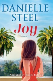 Joy: A Novel