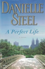 A Perfect Life A Novel