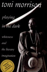 Playing in the Dark Whiteness and the Literary Imagination