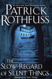 The Slow Regard of Silent Things
