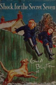 Shock for the Secret Seven