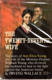The Twenty-Seventh Wife