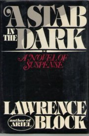 A Stab in the Dark A Novel