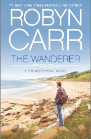 The Wanderer