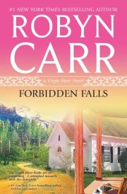 Forbidden Falls