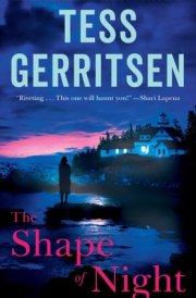 The Shape of Night A Novel