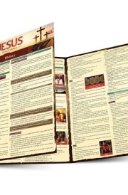 Jesus - Historical and Biblical A QuickStudy Laminated Reference Guide