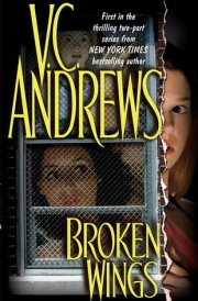Broken Wings