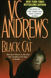 Black Cat