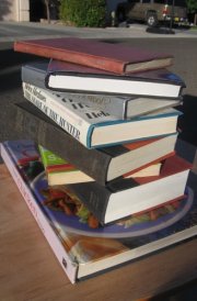Suzanne's Diary for Nicholas A Novel