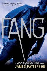 Fang A Maximum Ride Novel