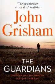 The Guardians A Novel