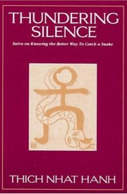 Thundering Silence Sutra on Knowing the Better Way to Catch a Snake