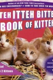 Teh Itteh Bitteh Book of Kittehs