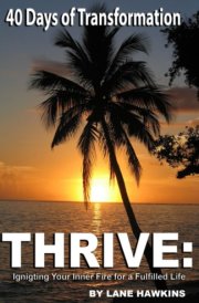 Thrive Igniting Your Inner Fire for a Fulfilled Life