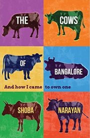 The Cows of Bangalore And how I Came to Own One