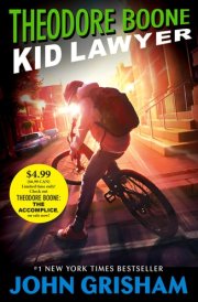 Theodore Boone, Kid Lawyer
